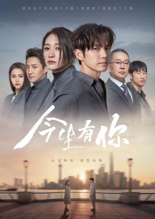 国产精品大陆在视频,影视盛宴，展现中国魅力